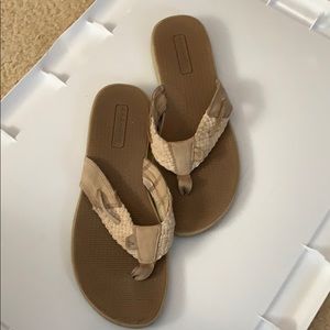 Sperrys Women's Parrotfish Thong Sandal